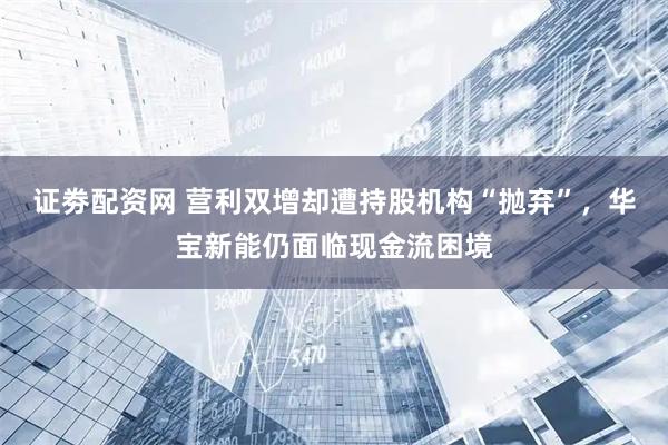 证劵配资网 营利双增却遭持股机构“抛弃”，华宝新能仍面临现金流困境